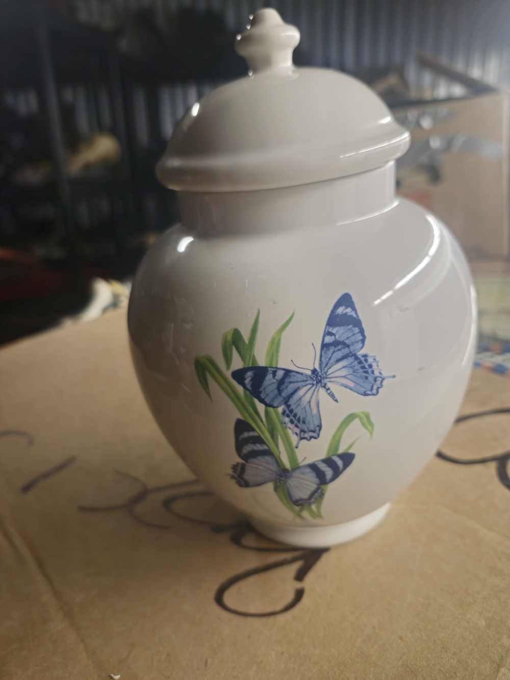 White Ceramic Ginger Jar with Blue Butterfly Motif Apprx 9"